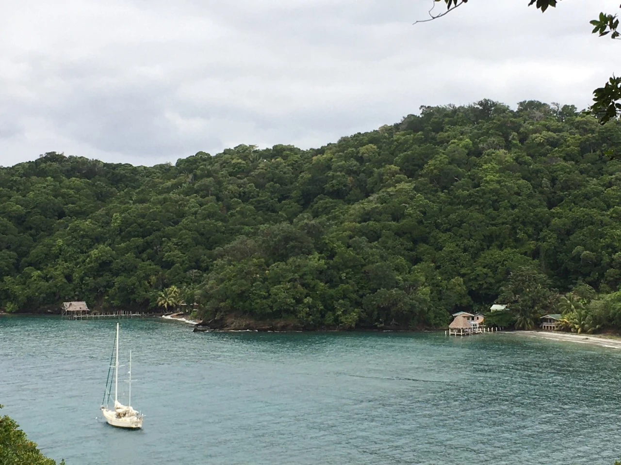 A sailing yacht anchored in a quiet, green island cove