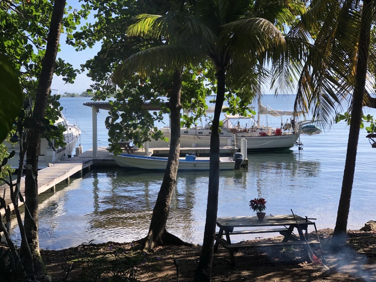 Palm-fringed waterfront and peaceful blue water from the original charter gallery